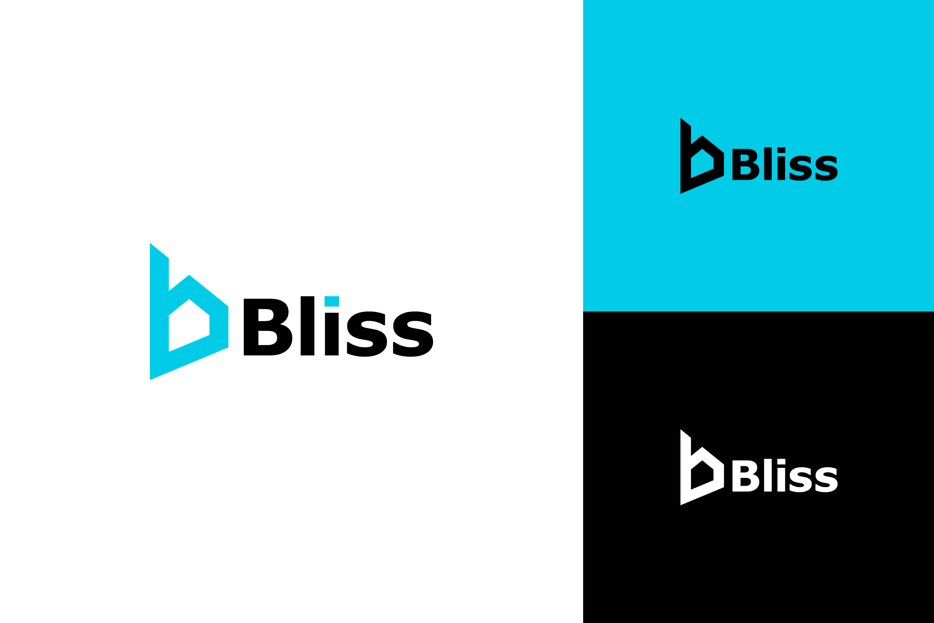 Logo Design by DiLion for Bliss Building & Construction  | Design #21990244