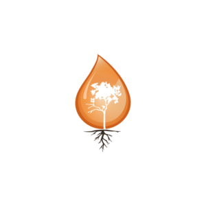 Diseño de Logo por ecorokerz para este proyecto | Diseño: #22007364