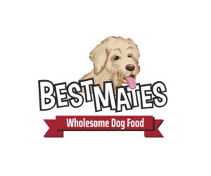 Logo Design by Ferdinand