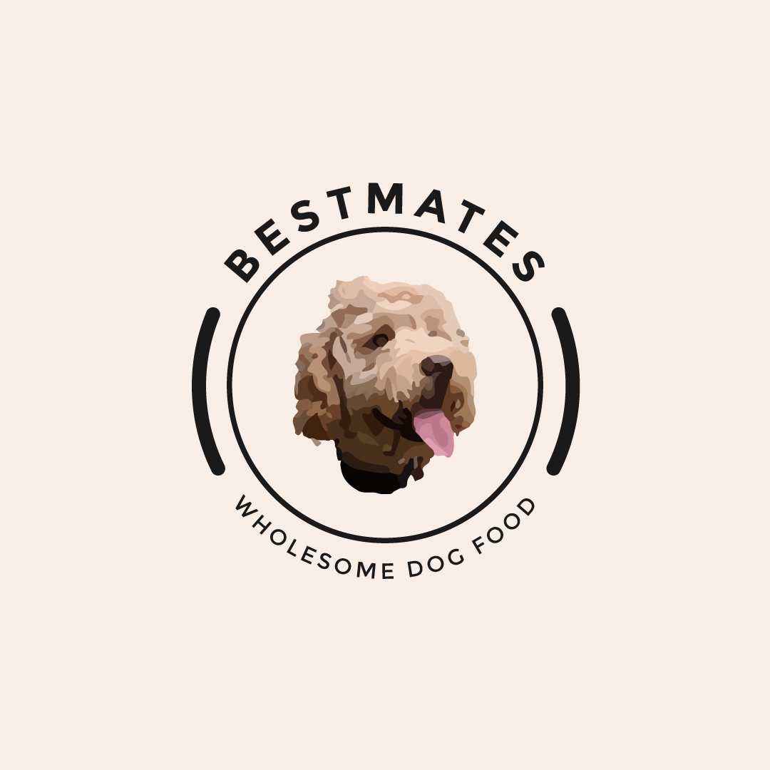 Logo Design by isurendrarathod for this project | Design #22058807