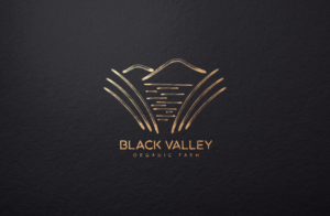 Black Valley | Diseño de Logo por GLDesigns