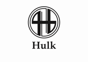 Logo Design by Bugfix