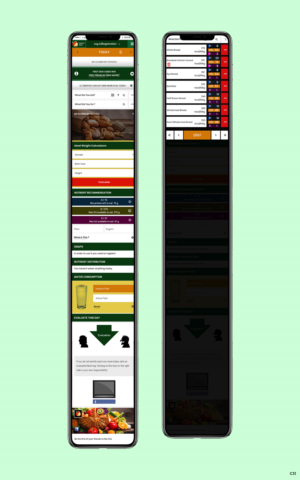 Web Design by pb for this project | Design: #22009021