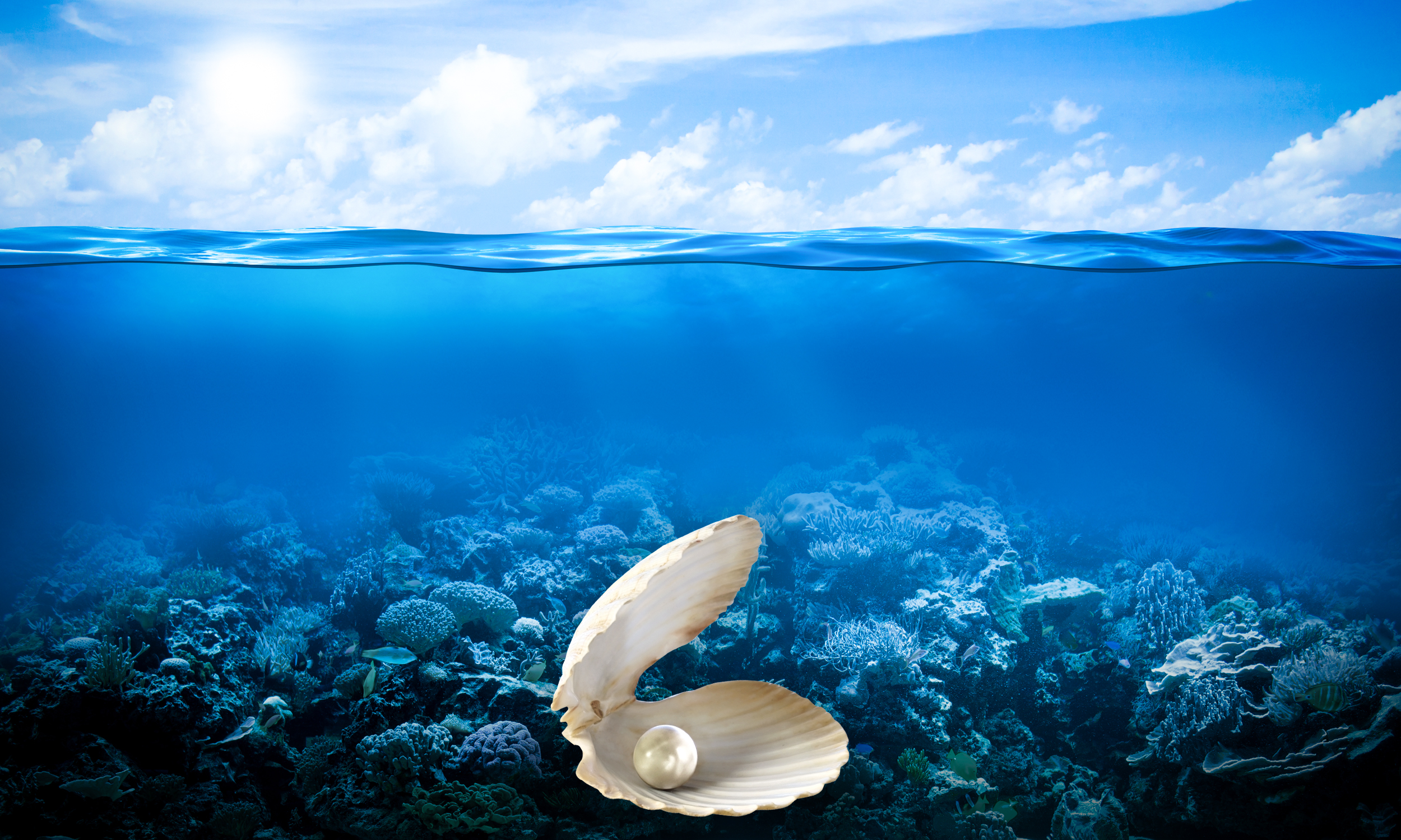 Graphic Design by Logozty Design for this project | Design #22086291