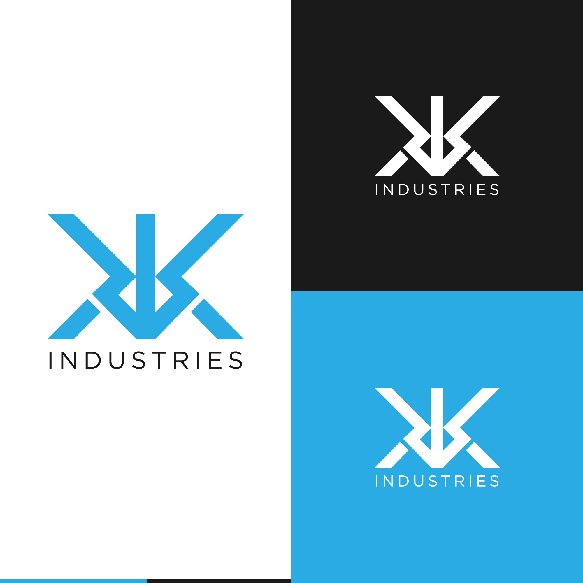 Logo Design by kaushal 05 for Aerial Imaging Solutions, LLC | Design #22017998
