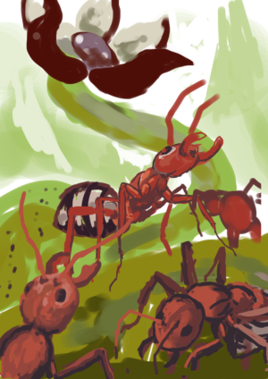 Illustration Design by icirotrisna for Pro Image Share, LLC | Design #22034028
