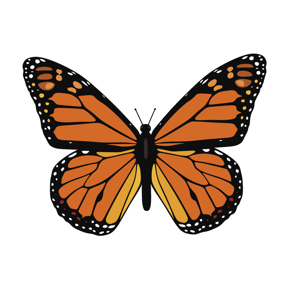 Illustration Design by greylee 2 for Pro Image Share, LLC | Design #22021289