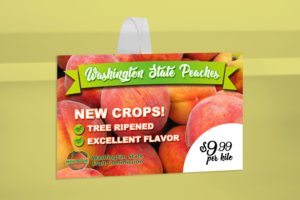Flyer Design by Phouii for Washington State Fruit Commission | Design: #22018952