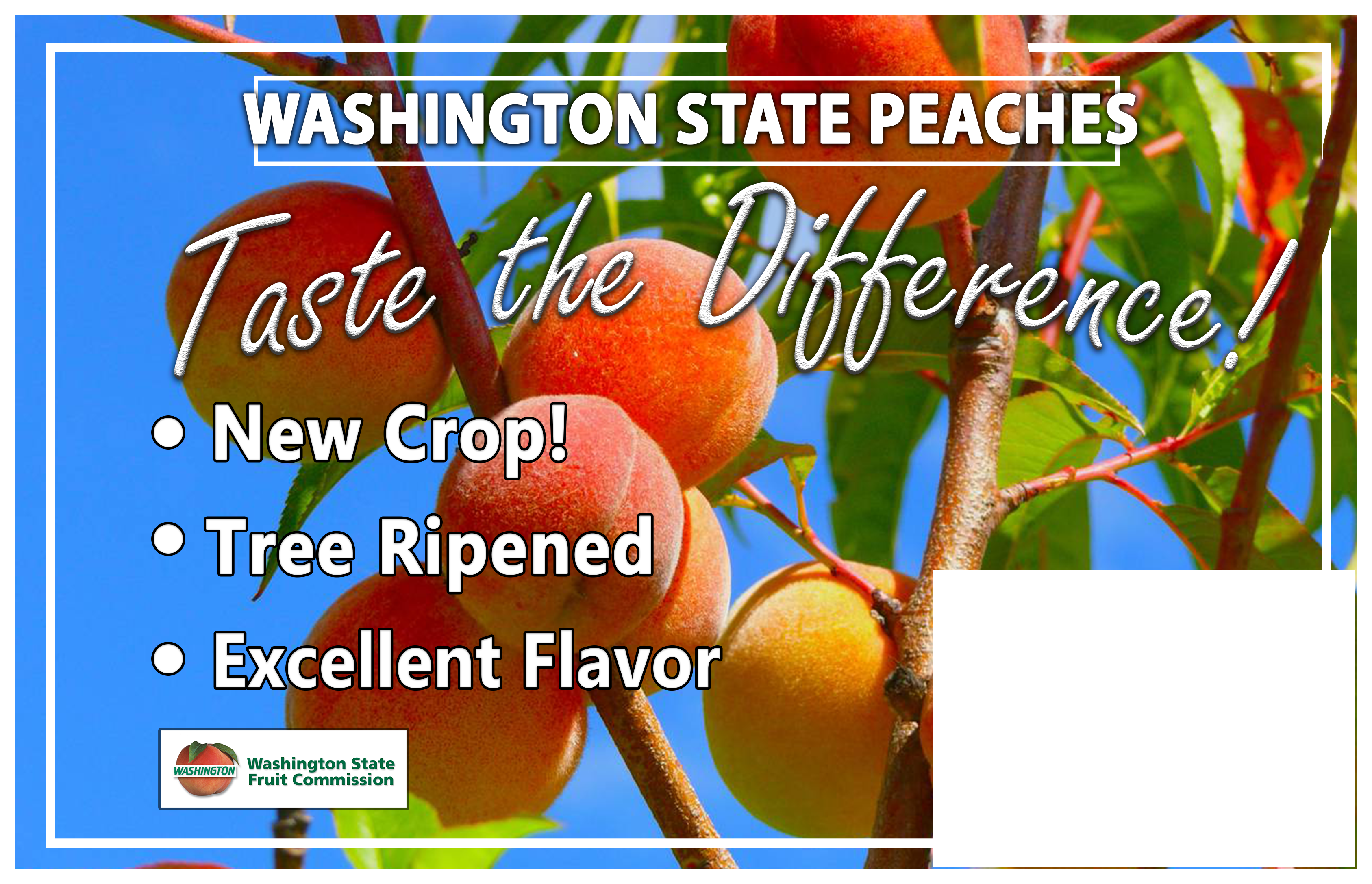 Flyer Design by Rajika97 for Washington State Fruit Commission | Design #22031730