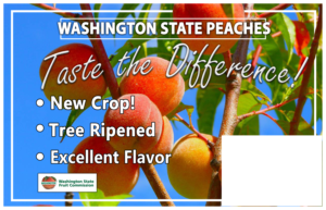 Flyer Design by Rajika97 for Washington State Fruit Commission | Design #22031730