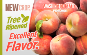 Flyer Design by kacimo for Washington State Fruit Commission | Design #22035844