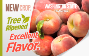 Flyer Design by kacimo for Washington State Fruit Commission | Design: #22035860