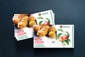 Flyer Design by Create Agency