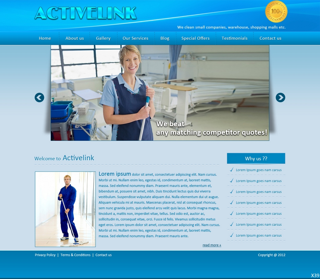 Diseño Web por pb para este proyecto | Diseño #721340