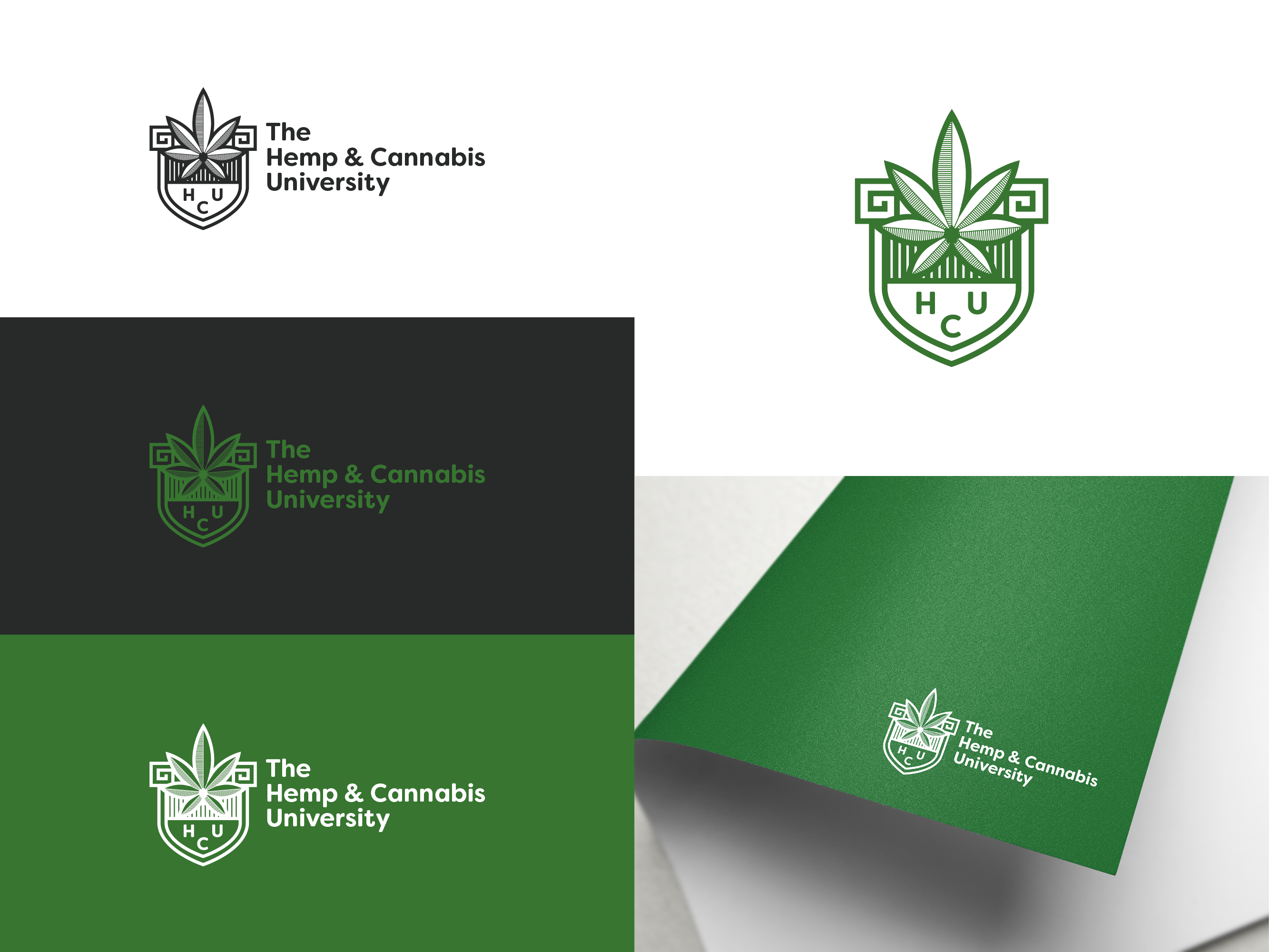 Design de Logo par jordyboy pour Bayou City Wellness Solutions | Design #22036447