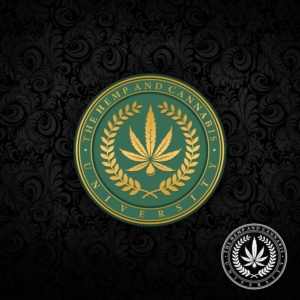 Logo Design by Flocer for Bayou City Wellness Solutions | Design #22019951