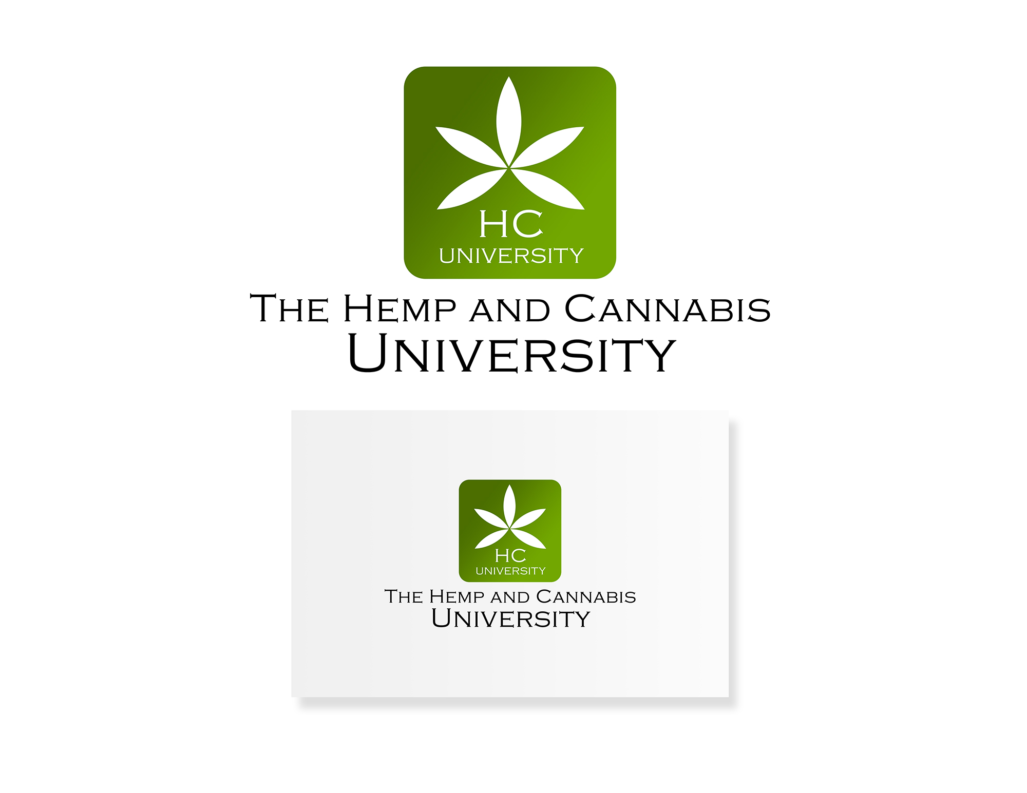 Design de Logo par Nico B pour Bayou City Wellness Solutions | Design #22024309