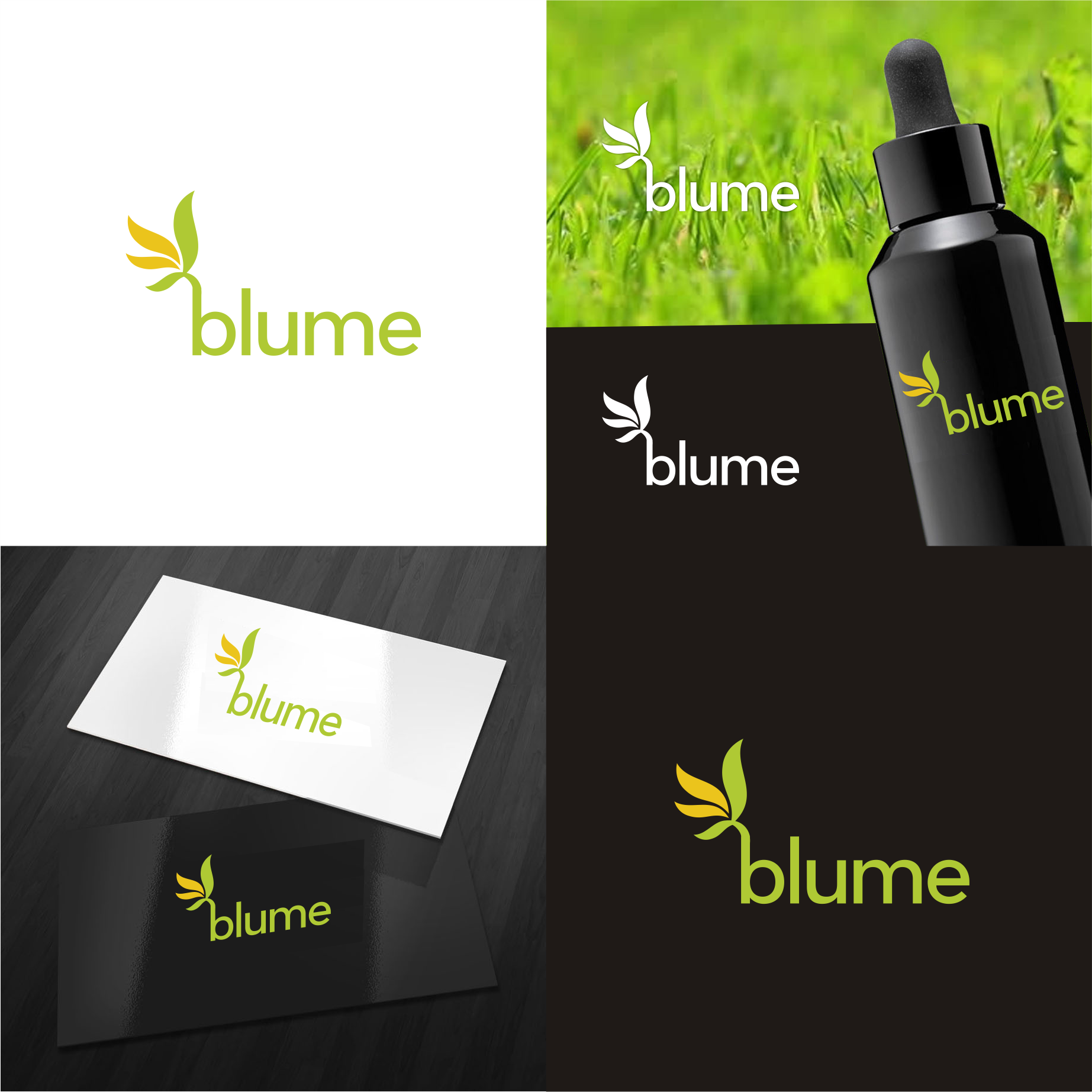Diseño de Logo por mike edan para blume  | Diseño #22057713