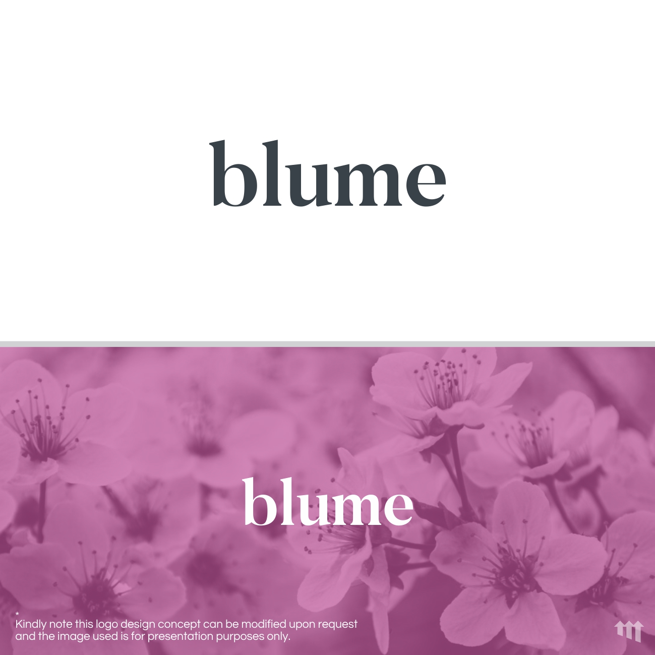 Logo Design by MBARO for blume  | Design #22056807