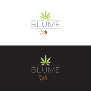 Logo Design by babystepsdesign for blume  | Design: #22021216