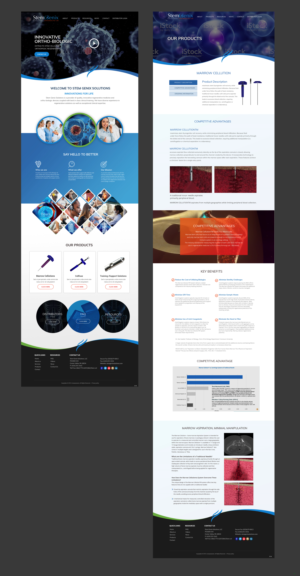 Wordpress Design by pb for Stem Genix Solutuons, LLC. | Design: #22180022