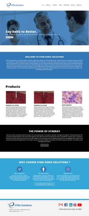 Wordpress Design by Gexton for Stem Genix Solutuons, LLC. | Design: #22068476