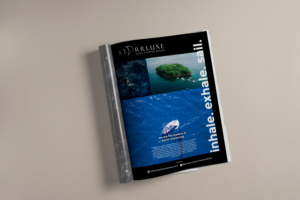 Advertisement Design by YIN P.NiTH
