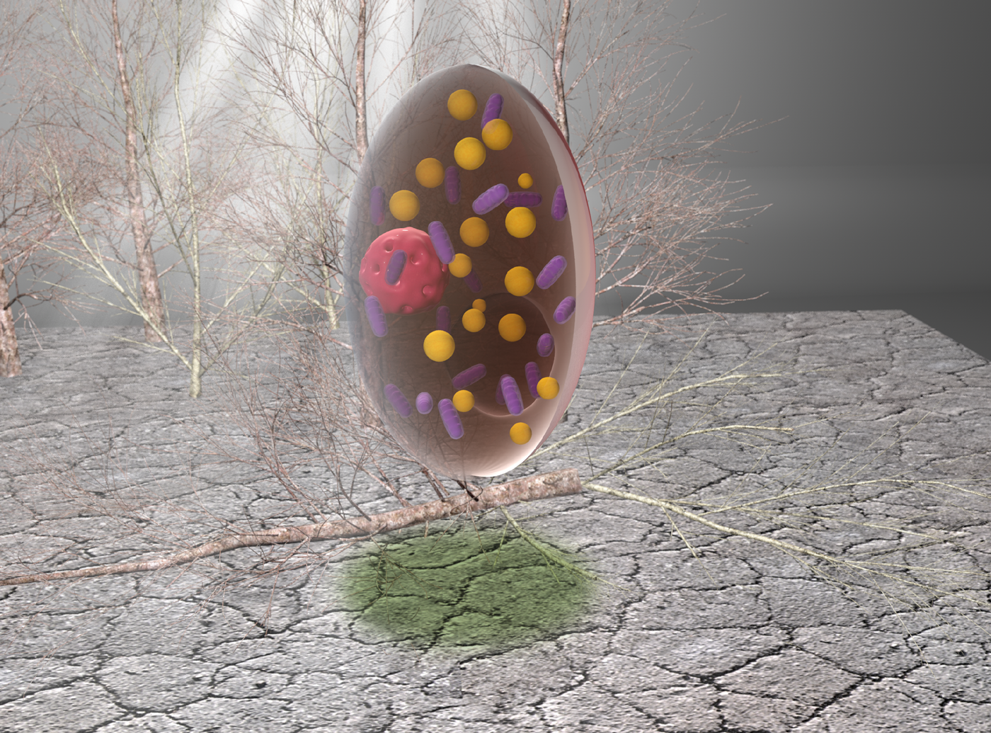 3D Design by cornel888 for WSSB-TUM | Design #22057367
