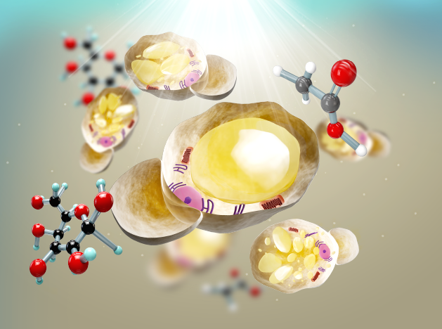 3D Design by eng.shaza for WSSB-TUM | Design #22043359