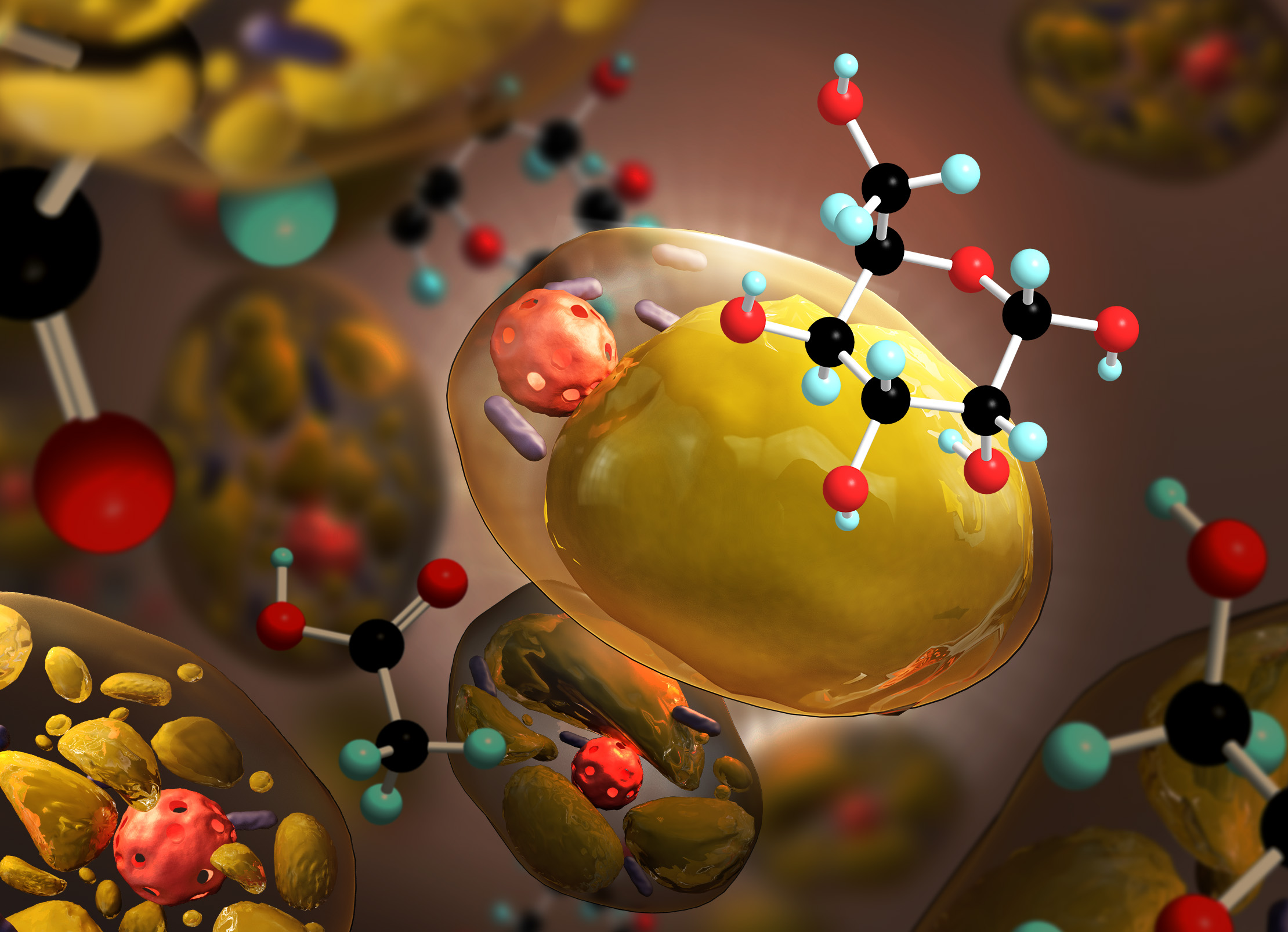 3D Design by eng.shaza for WSSB-TUM | Design #22060019