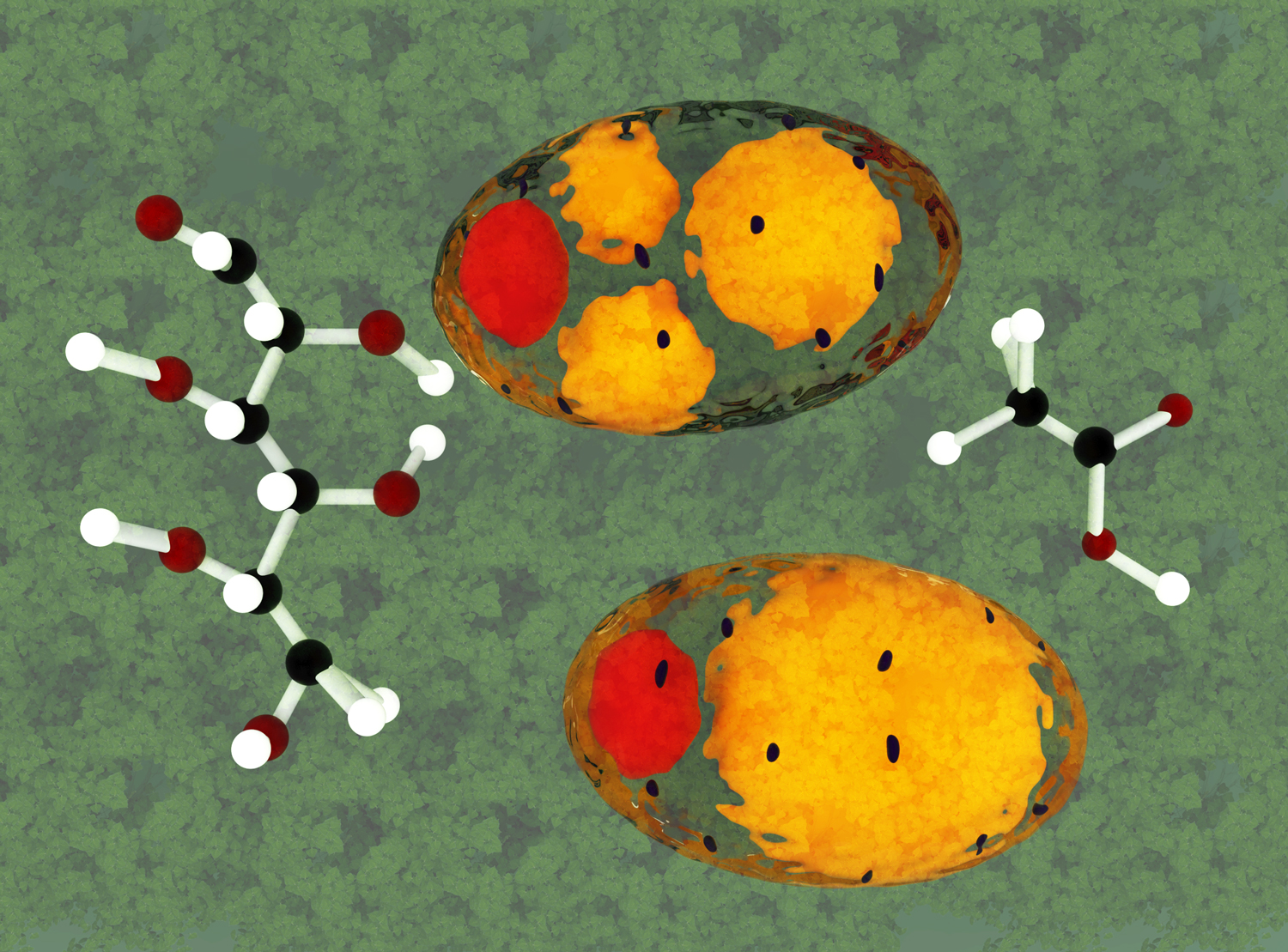 3D Design by VW Designs for WSSB-TUM | Design #22049286