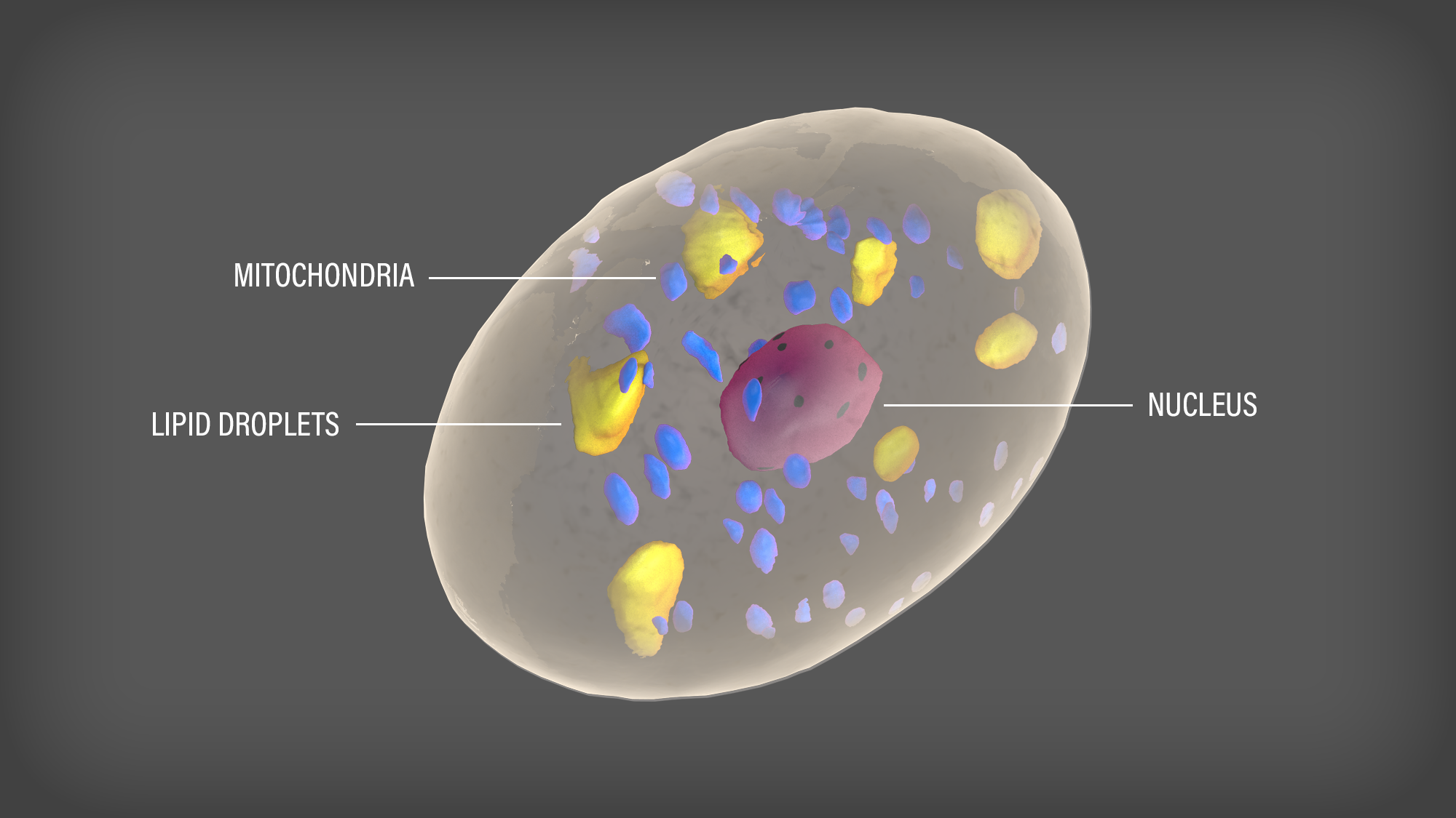 Design 3D par Rickyy pour WSSB-TUM | Design #22039004