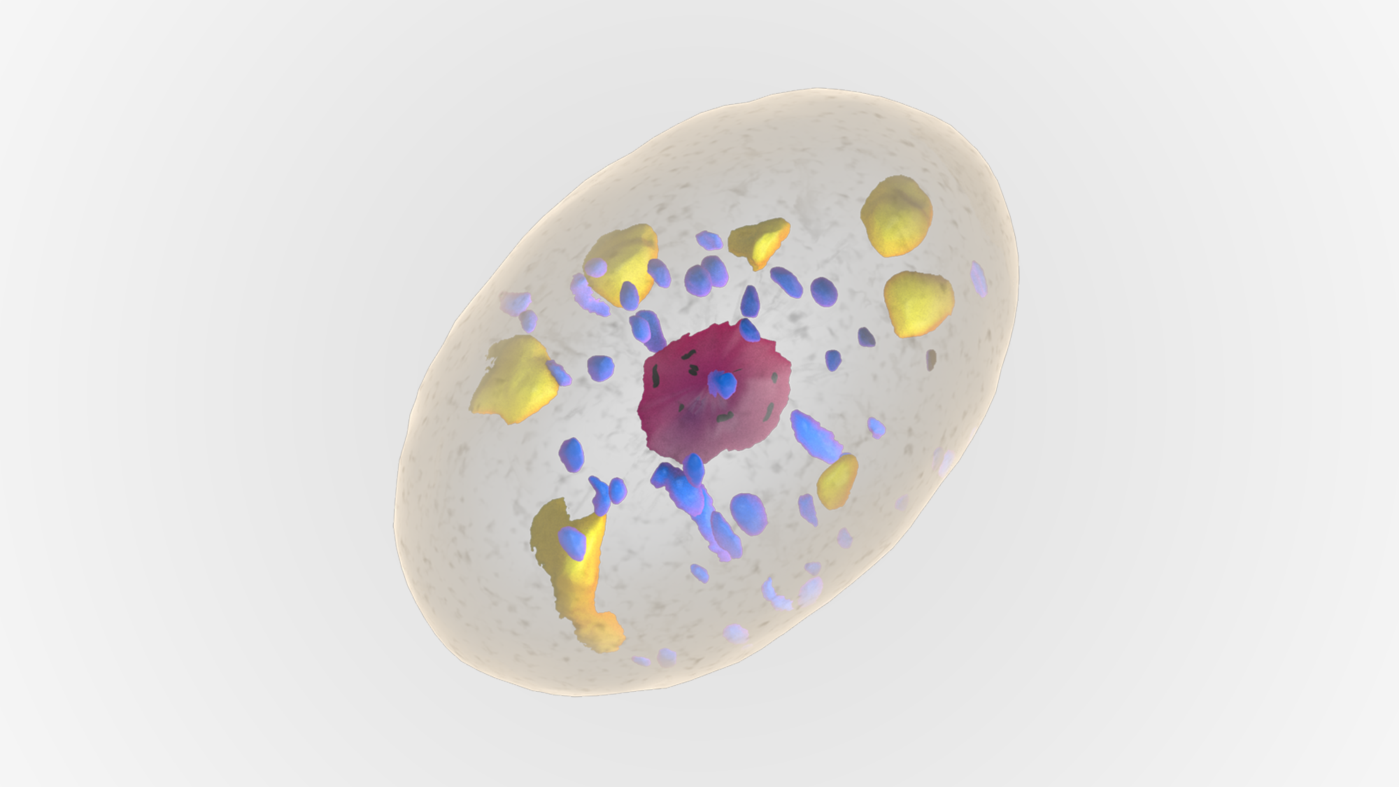 3D Design by Rickyy for WSSB-TUM | Design #22039023