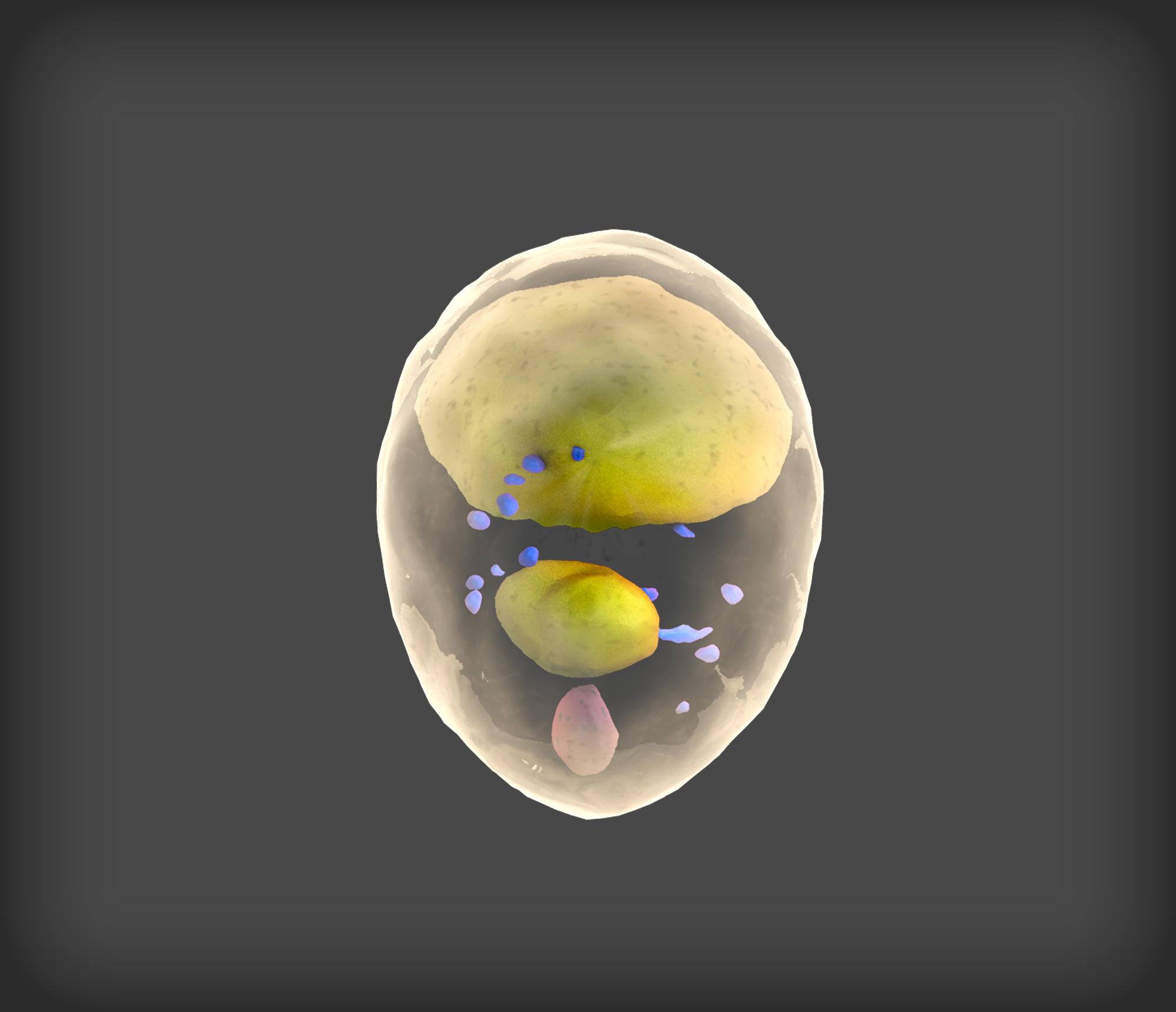 Diseño 3D por Rickyy para WSSB-TUM | Diseño #22039233