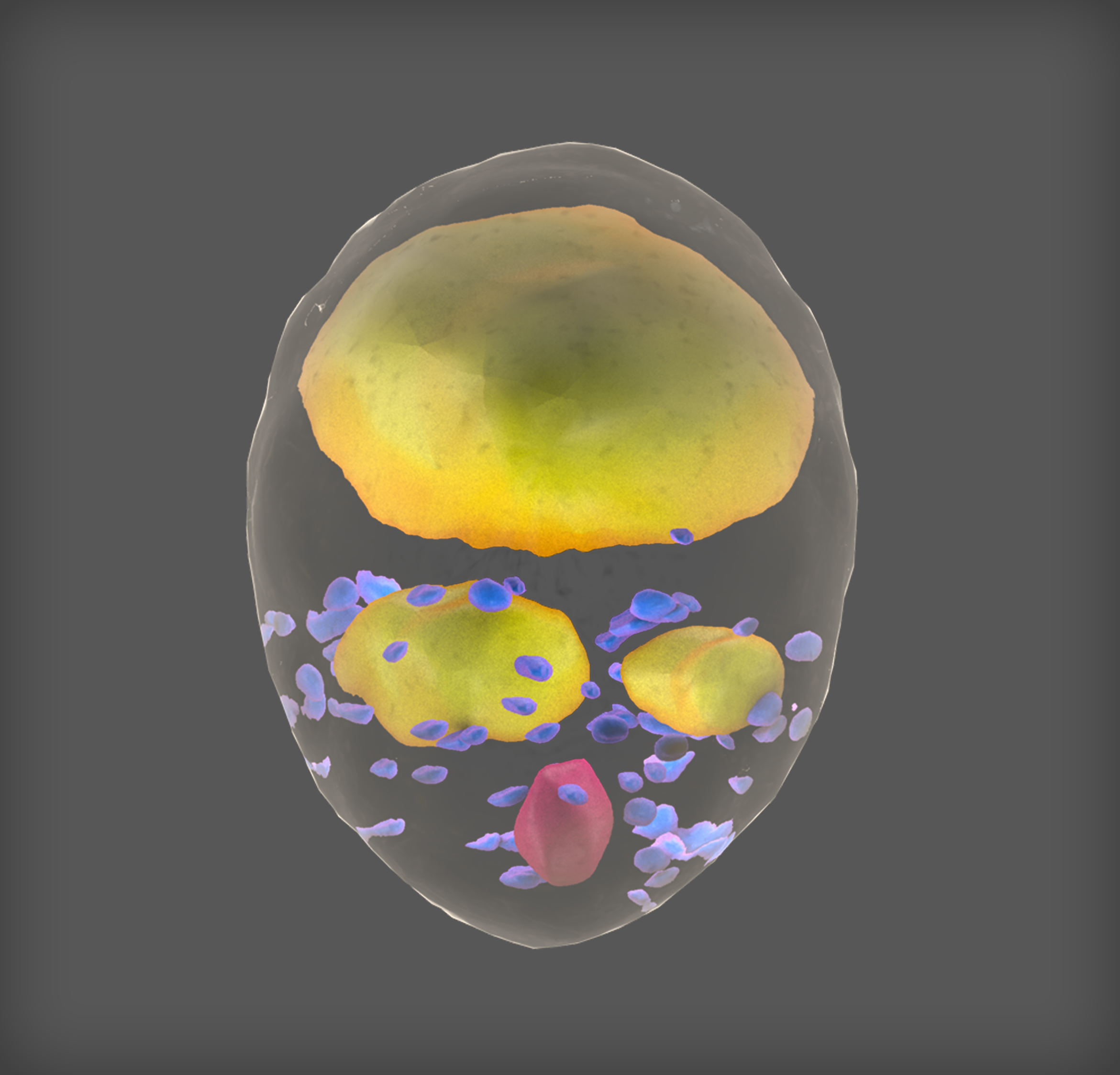 3D Design by Rickyy for WSSB-TUM | Design #22039875