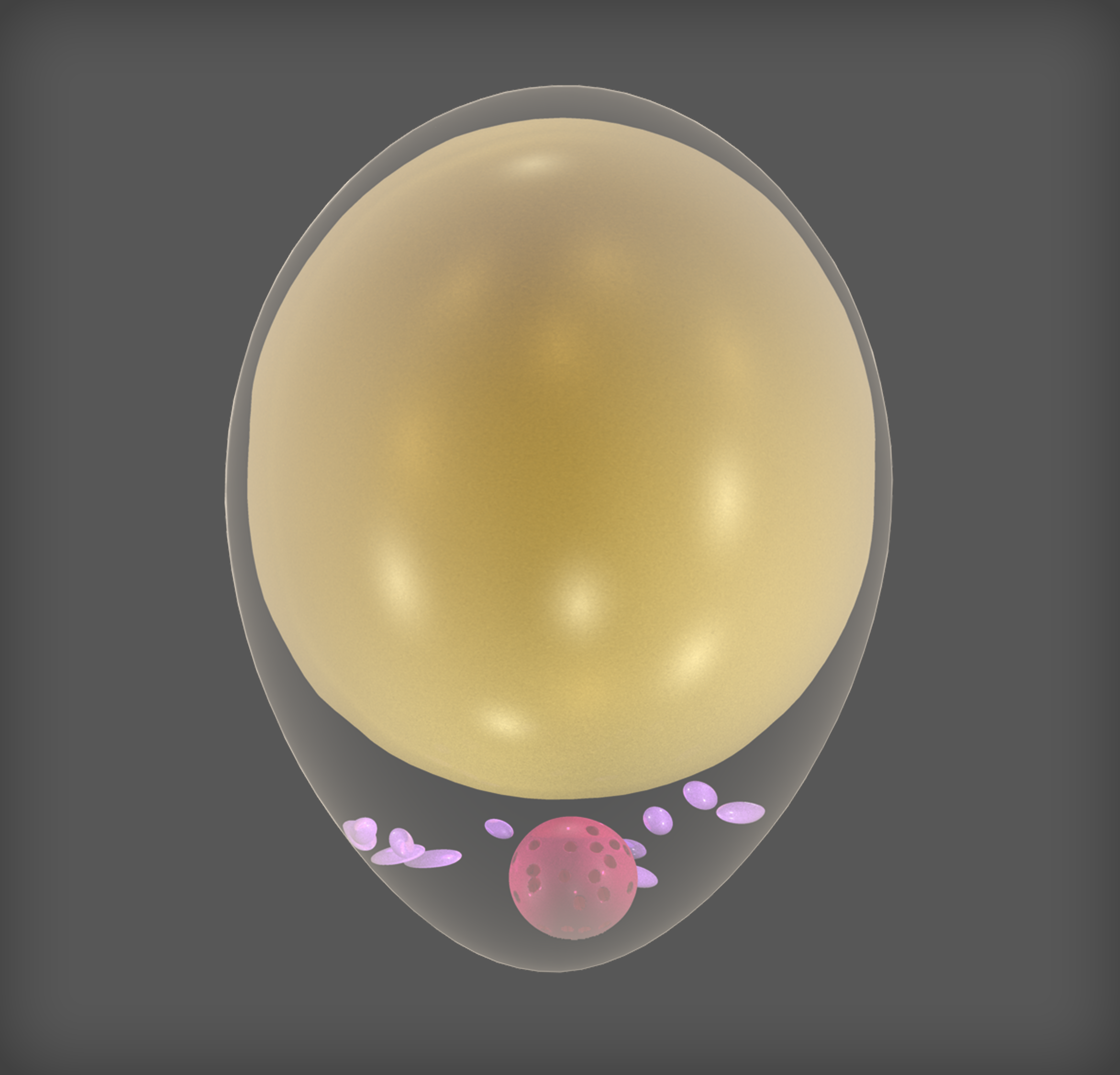 3D Design by Rickyy for WSSB-TUM | Design #22045093