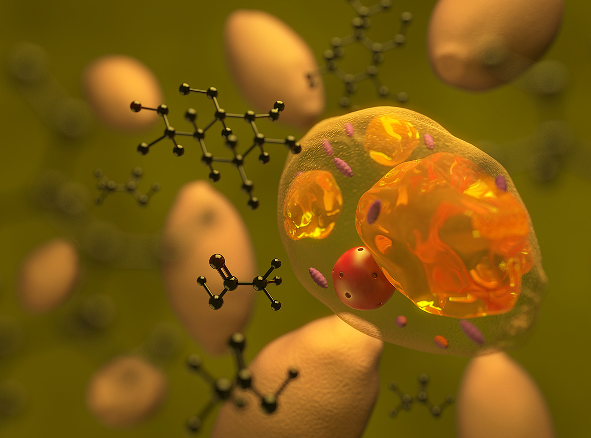 3D Design by Market bees for WSSB-TUM | Design #22050092