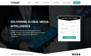 Web Design by Sbss for Media Insights Ltd - 9 Despot Slav Street, Suite 28, Sofia, Bulgaria; VAT BG202616151 | Design: #22056929