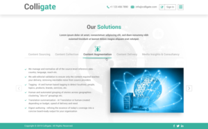 Web Design by Sbss for Media Insights Ltd - 9 Despot Slav Street, Suite 28, Sofia, Bulgaria; VAT BG202616151 | Design: #22057419