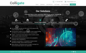 Web Design by Sbss for Media Insights Ltd - 9 Despot Slav Street, Suite 28, Sofia, Bulgaria; VAT BG202616151 | Design: #22064551