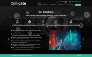 Web Design by Sbss for Media Insights Ltd - 9 Despot Slav Street, Suite 28, Sofia, Bulgaria; VAT BG202616151 | Design: #22064553