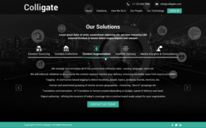 Web Design by Sbss for Media Insights Ltd - 9 Despot Slav Street, Suite 28, Sofia, Bulgaria; VAT BG202616151 | Design: #22064563