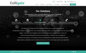 Web Design by Sbss for Media Insights Ltd - 9 Despot Slav Street, Suite 28, Sofia, Bulgaria; VAT BG202616151 | Design: #22064564