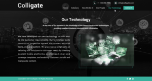 Web Design by Sbss for Media Insights Ltd - 9 Despot Slav Street, Suite 28, Sofia, Bulgaria; VAT BG202616151 | Design: #22092116