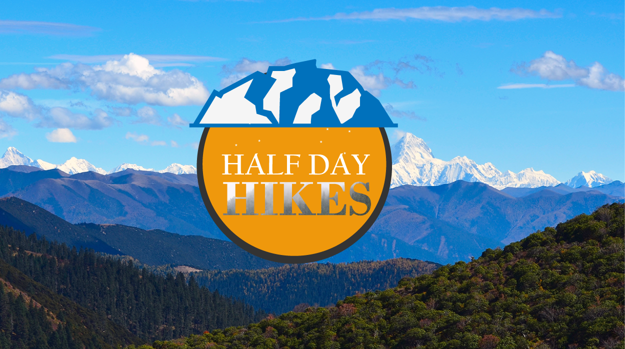 Logo Design by Gexton for this project | Design #22051984