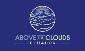 Logo Design by logoQ for this project | Design: #22043324