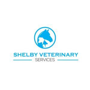 Logo Design by ESolz Technologies