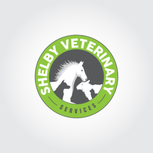 Logo Design by wasee 3