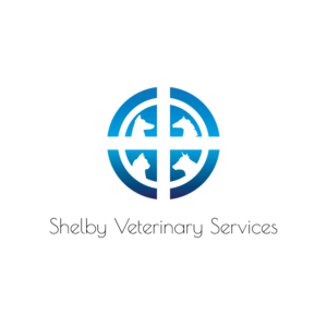Logo-Design von PhillN für dieses Projekt | Design: #22047460