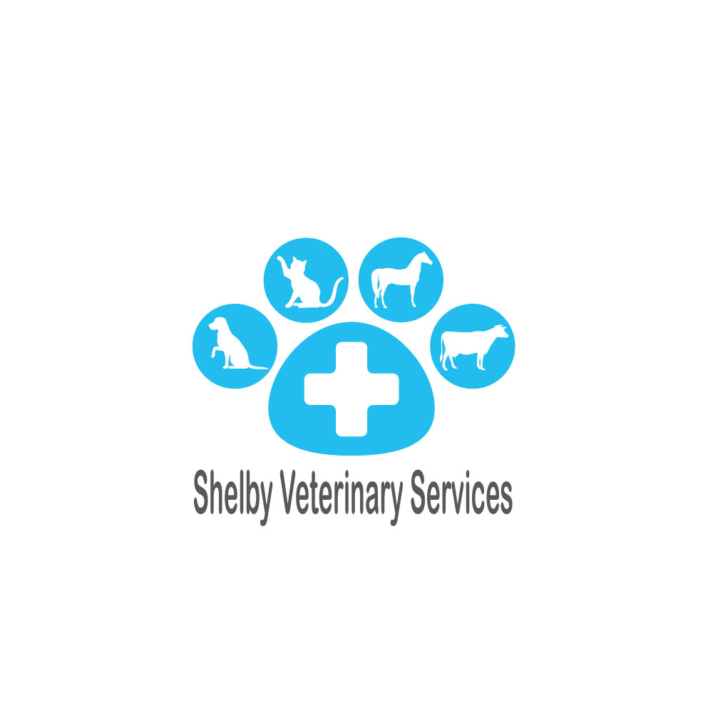 Logo Design by Yuji Design 2 for this project | Design #22050006